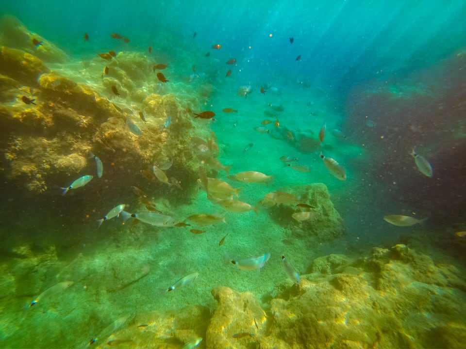 Strand Hotel Kalithea Horizon Royal