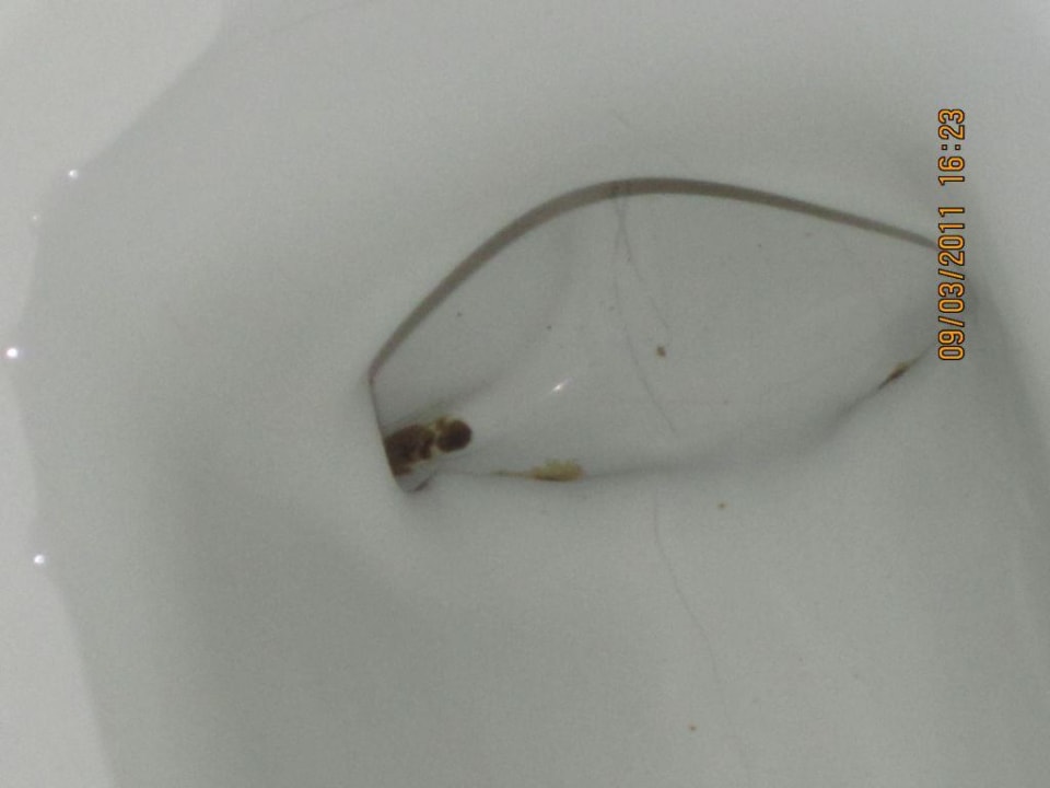 Toiletten Wyndham Alltra Punta Cana