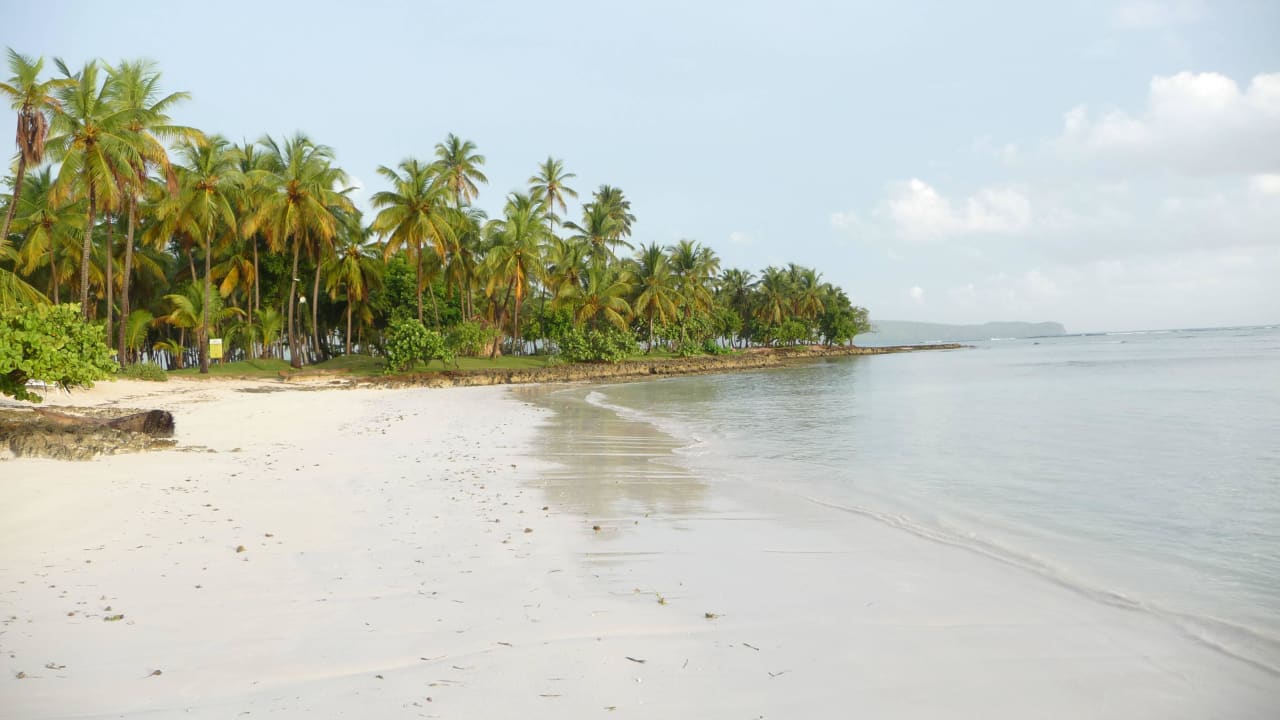 Cooee at Grand Paradise Hotelstrand Wyndham Alltra Samana