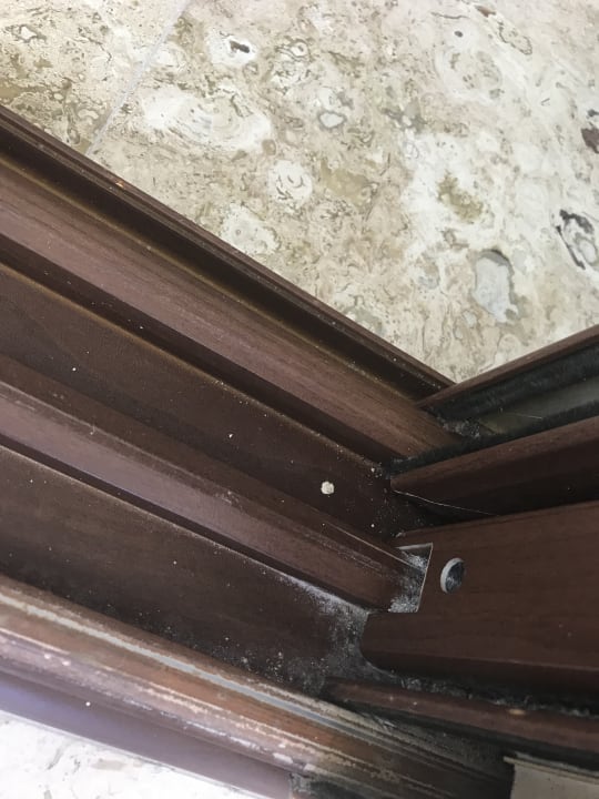 Zimmer Akumal Bay Beach & Wellness Resort