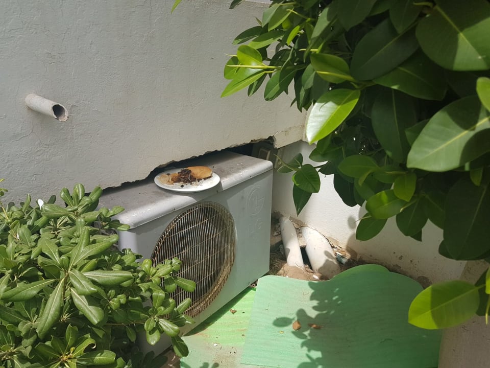 Gartenanlage Ruspina Beach Resort