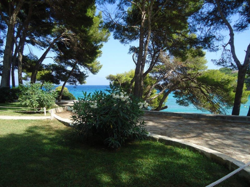 Garten des Hotels mit Weg zum Strand Iberostar Waves Pinos Park