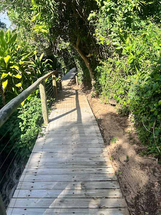 Gartenanlage Hotel Thonga Beach Lodge