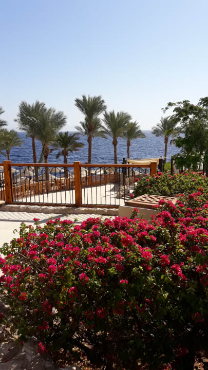 Sonstiges The Grand Hotel Sharm El Sheikh