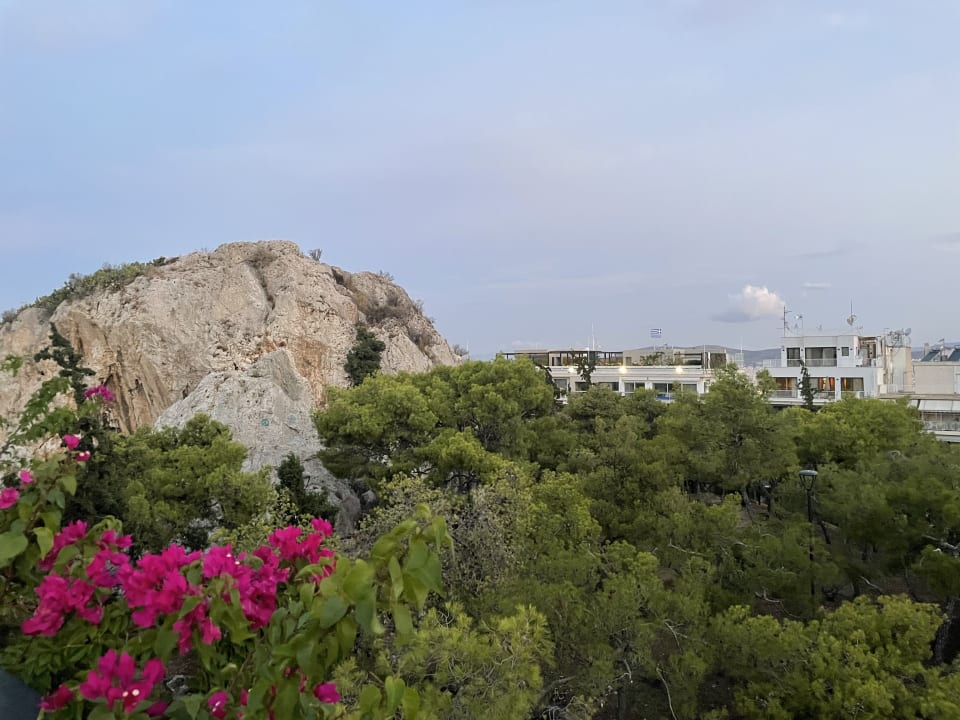 Ausblick The Duke Boutique Suites