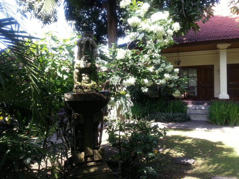 Zimmer mit Terrasse Hotel Bumas