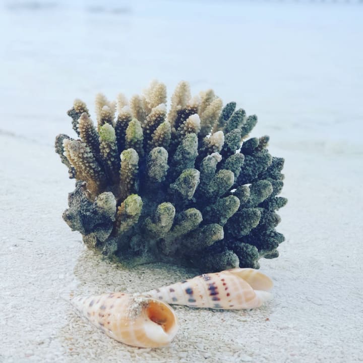 Strand Adaaran Select Hudhuran Fushi - Premium All Inclusive