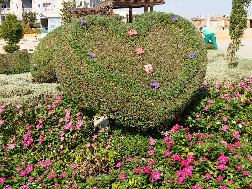 Gartenanlage Lazuli Hotel Marsa Alam