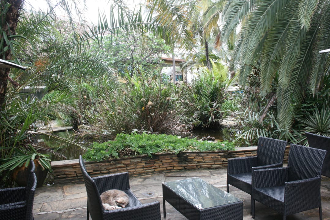 Wunderschöne Anlage Bahari Beach Hotel