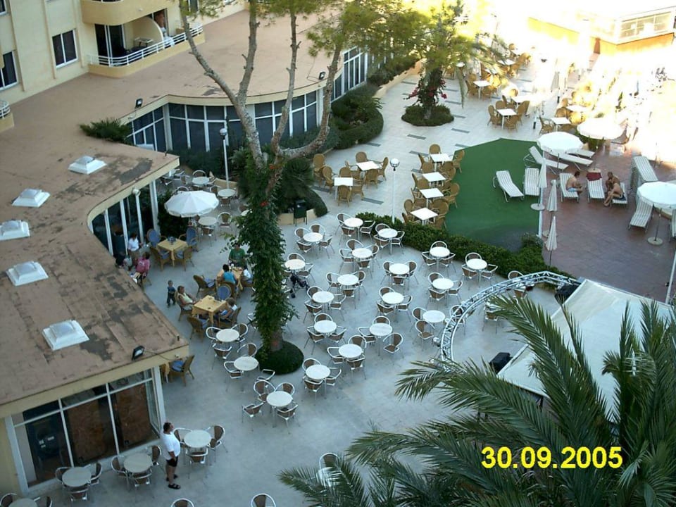 Gartenanlage Aparthotel Ivory Playa