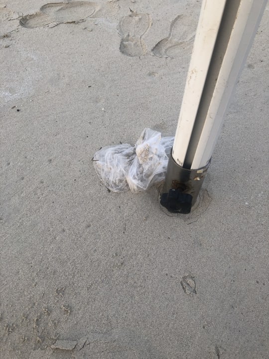 Strand Jumeirah at Saadiyat Island Resort