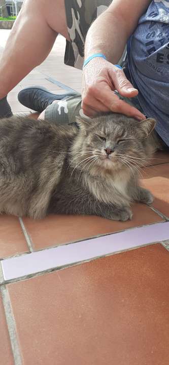 Pool Club Hotel Drago Park