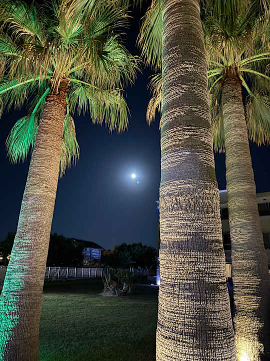 Gartenanlage Vantaris Luxury Beach Resort