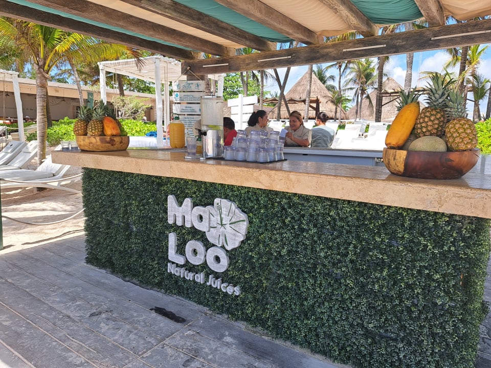 Gastro Catalonia Royal Tulum Beach & Spa Resort - Adults only