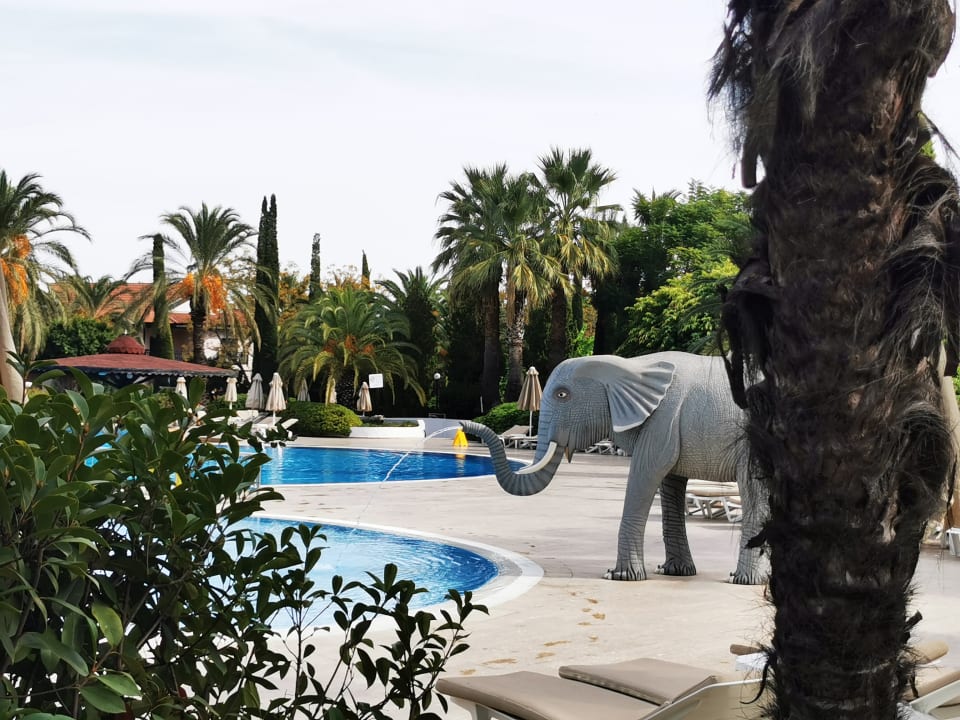 Pool Starlight Resort Hotel