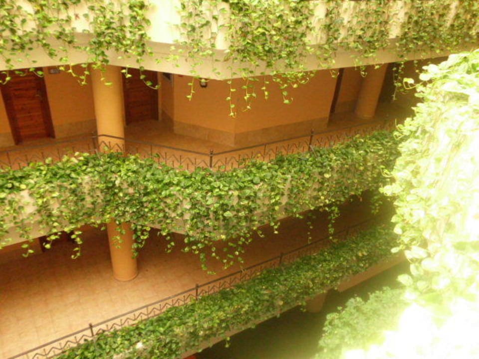 Total begrünt und sauber Playacanela Hotel