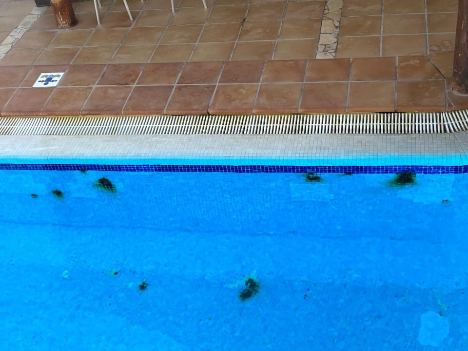 Pool SBH Costa Calma Beach Resort