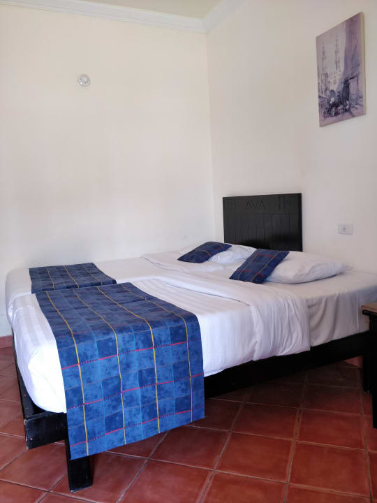 Zimmer Three Corners Sea Beach Resort