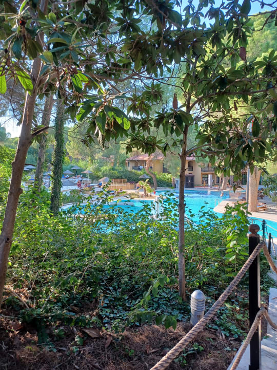 Pool Asteria Family Belek