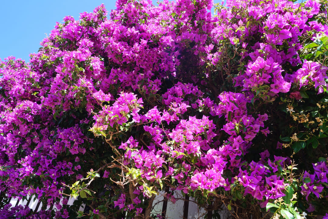 Sonstiges Hotel Grand Relais dei Nuraghi