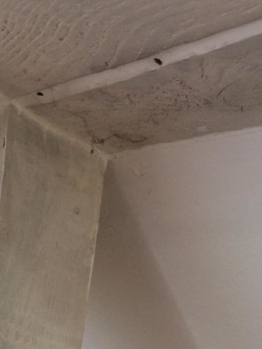 Pajęczyny i pająki w apartamencie za 350zl Hotel Aleksander