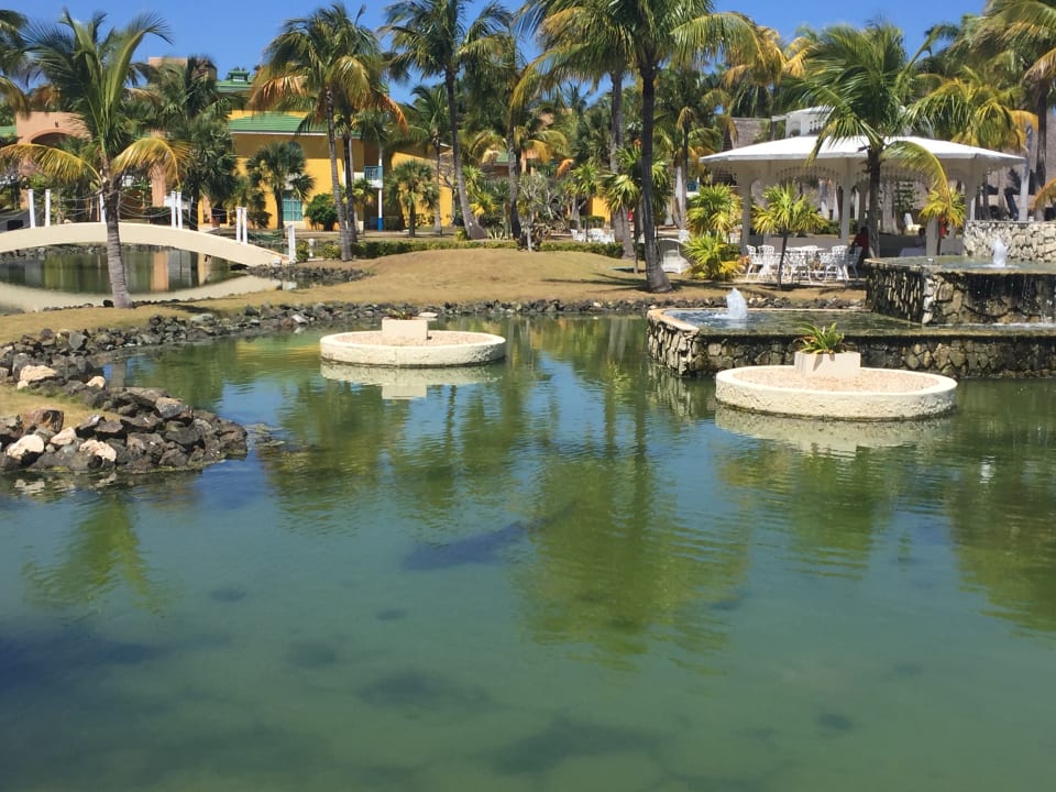 Gartenanlage Melia Las Antillas - Adults only