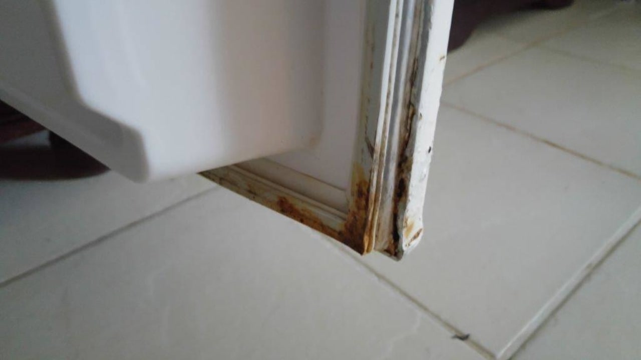 Minibar Wyndham Alltra Samana