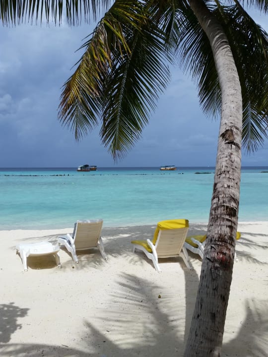 Unmittlebar vor dem Bungalow Summer Island Maldives