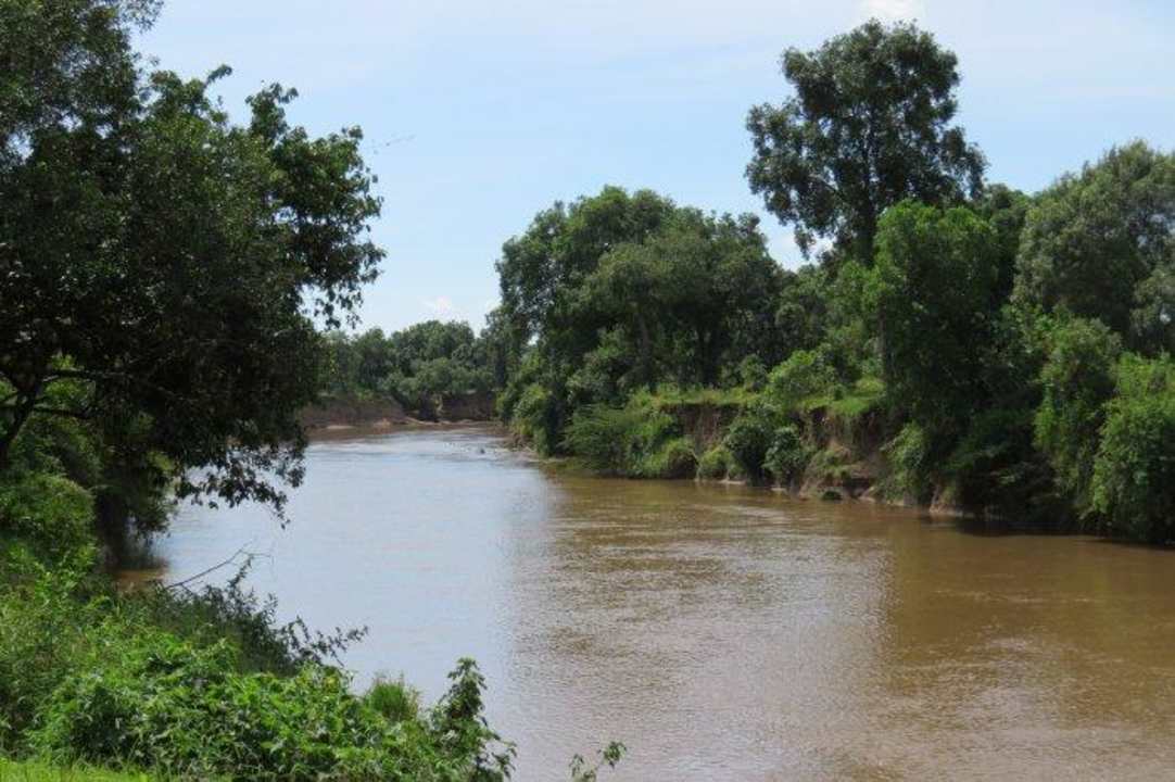 Blick auf den Mara River Royal Mara Safari Lodge