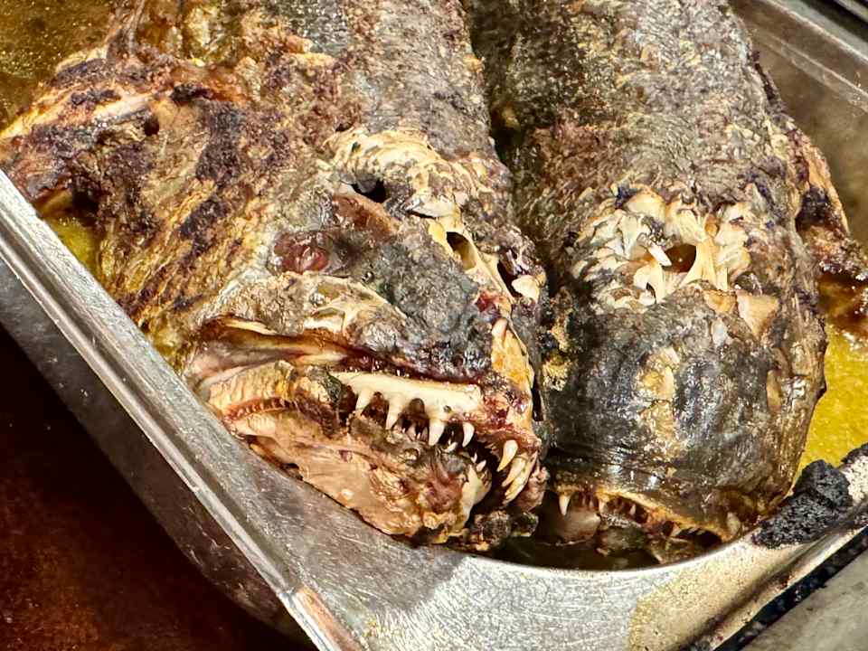 Gastro Pickalbatros White Beach Resort - Hurghada