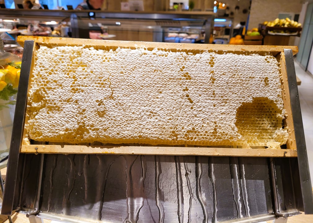 Gastro Hotel Histrion