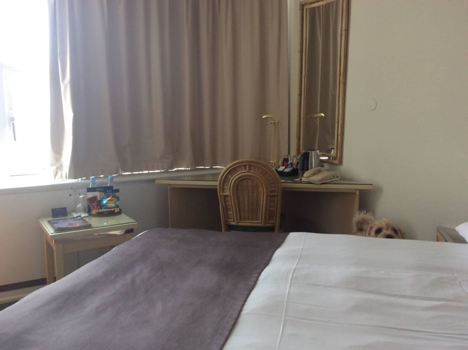 Bett Scandic Falconer