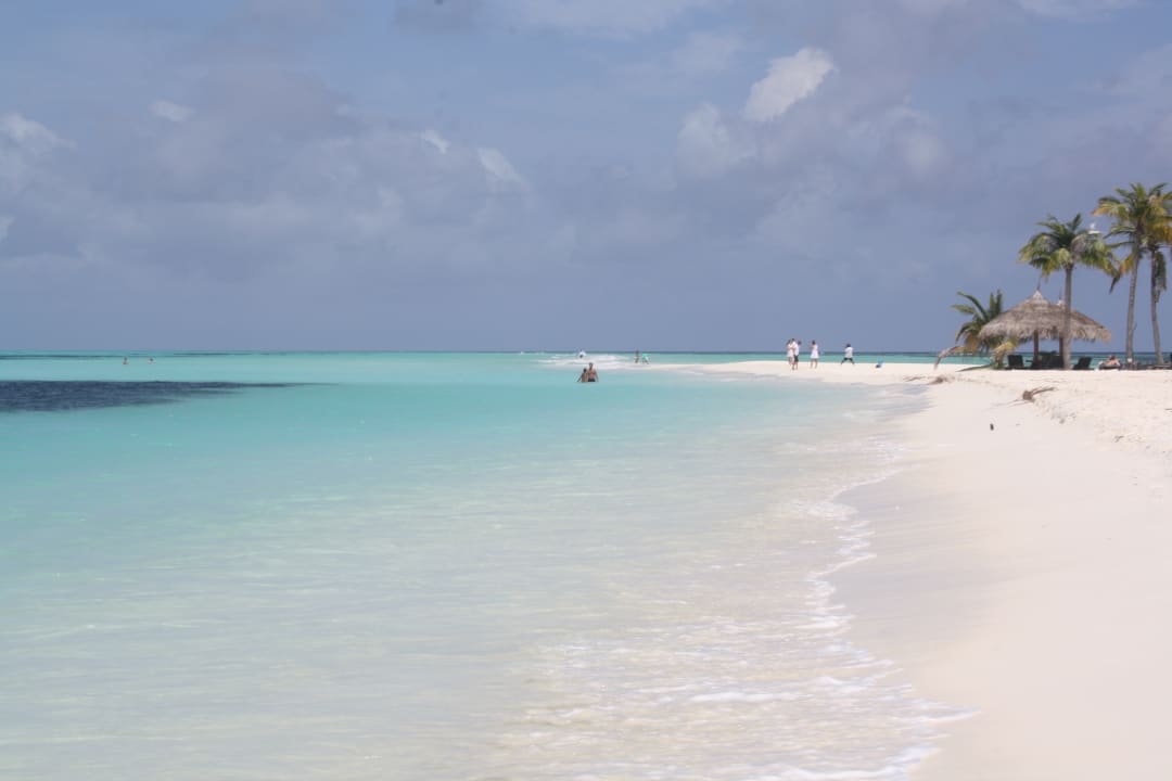 Auf dem zu Sandbank Kuredu Island Resort & Spa