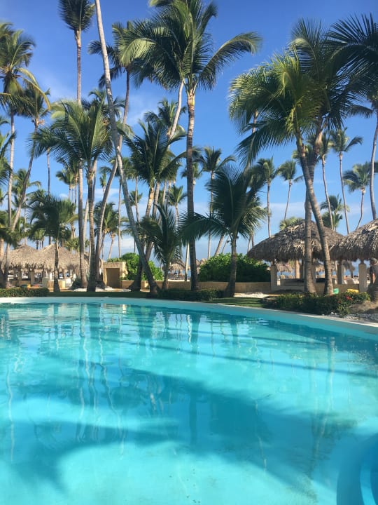 Pool Meliá Caribe Beach Resort-All Inclusive