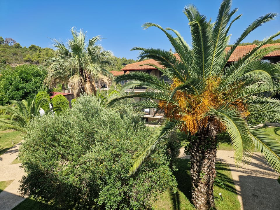 Ausblick Poseidon Hotel Sea Resort