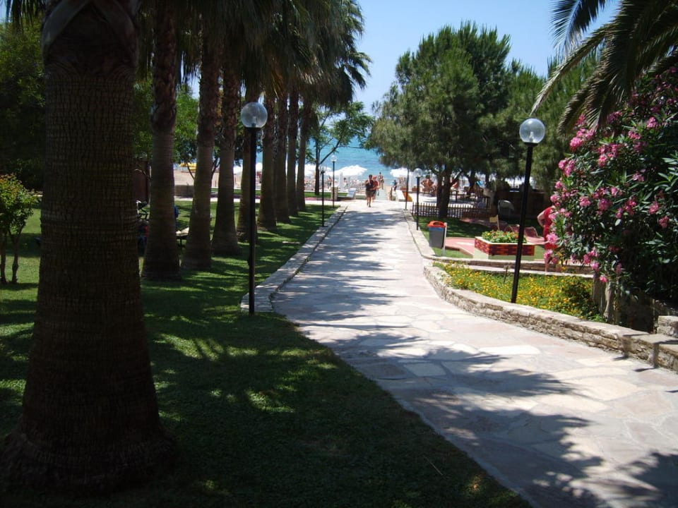 Sentier vers plage Arum Barut Collection