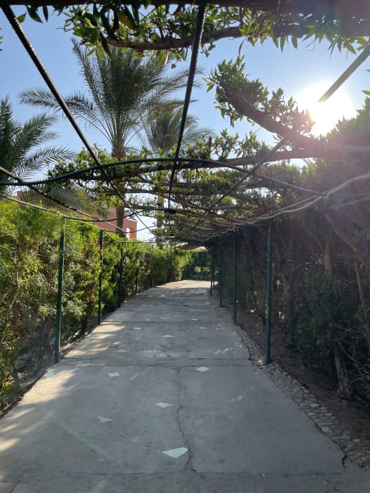 Gartenanlage Jaz Makadi Oasis Resort