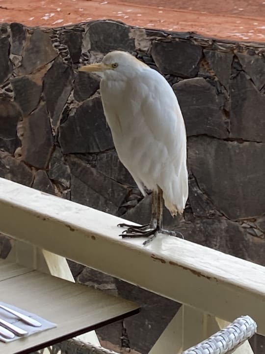 Sonstiges Aldiana Club Fuerteventura