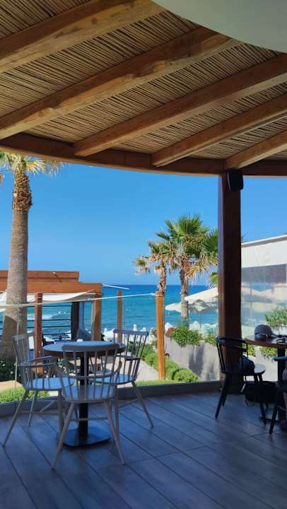 Gastro Cactus Beach