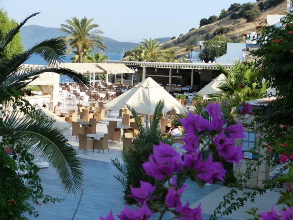 Blick zur Poolbar Salmakis Resort & Spa