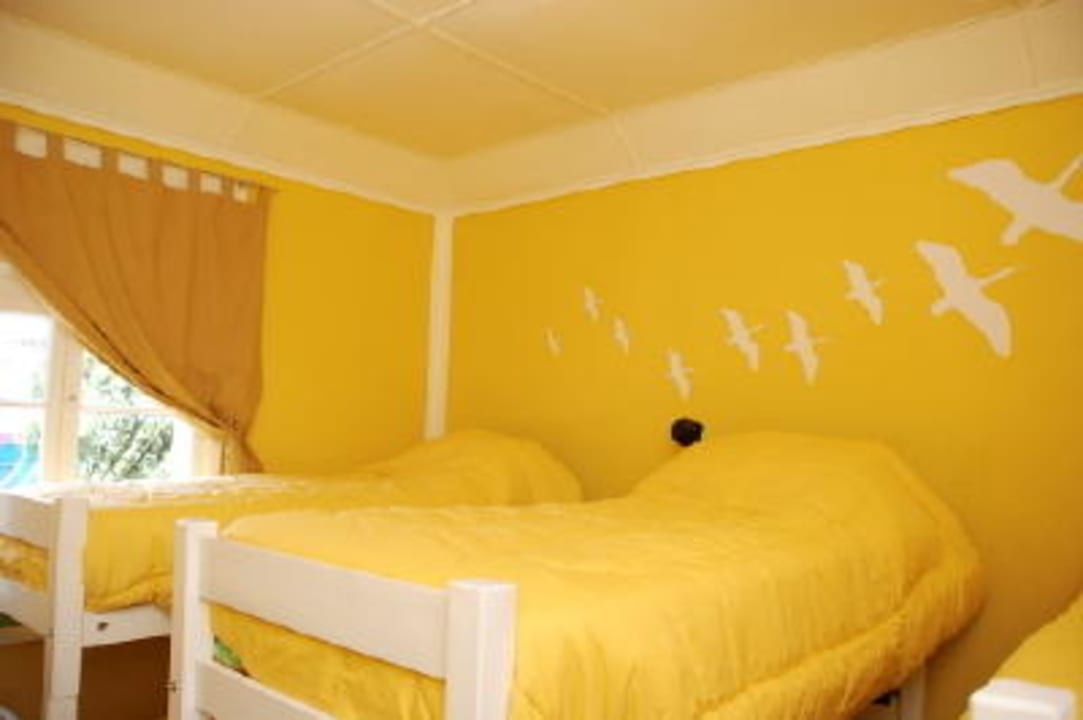 Yellow Room Pure Lounge Hostel