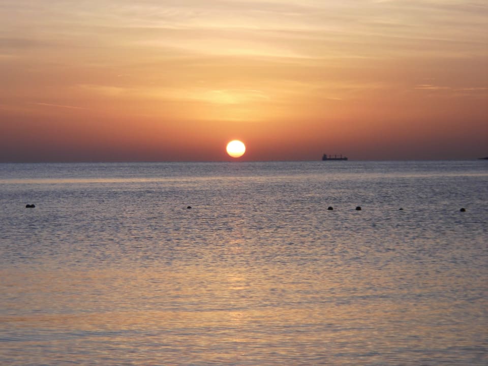 Ausblick Eagles Paradise Abu Soma