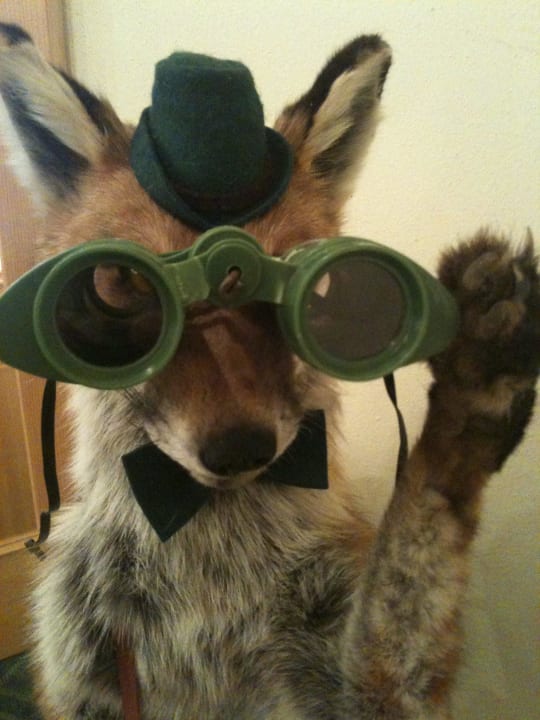 Der Hotelfuchs weiß: Wer schlau ist, bucht hier! Alphotel Tyrol