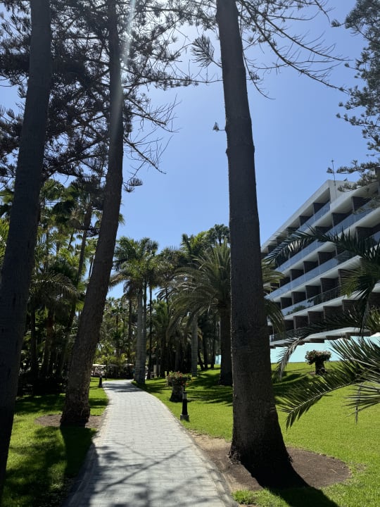 Außenansicht Hotel Riu Palace Oasis