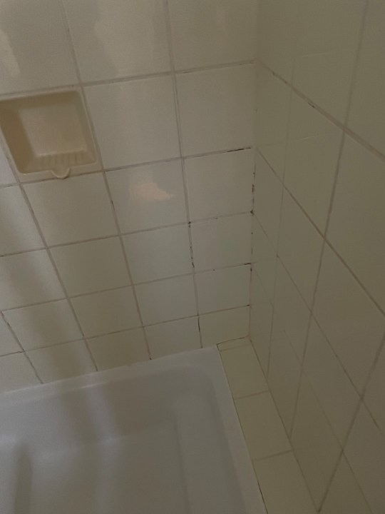 Zimmer Ferienhaus Almrausch