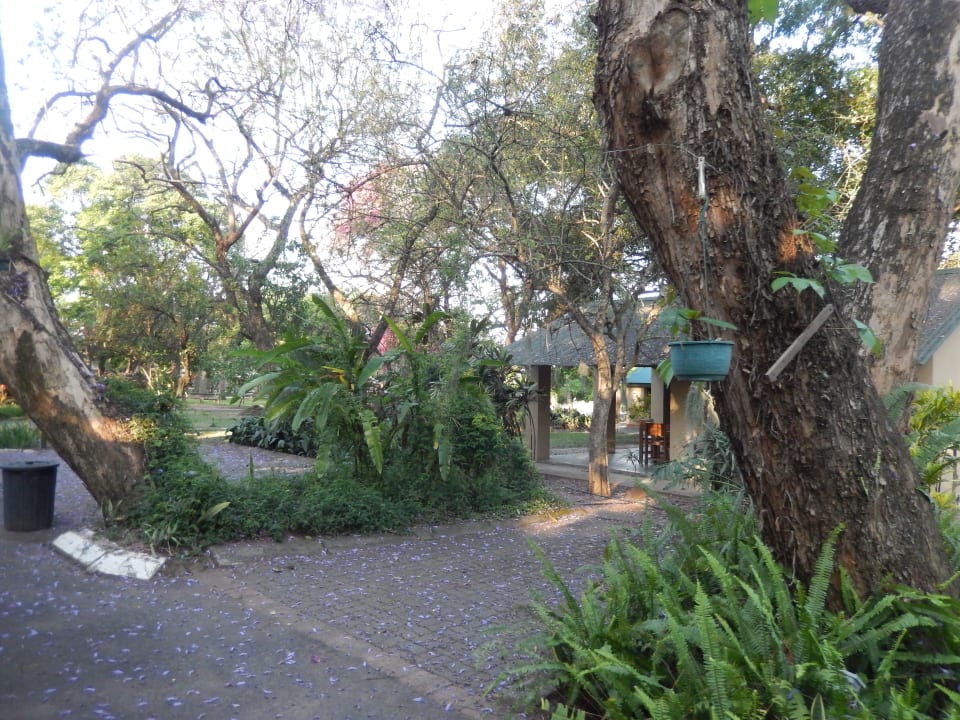 Gartenanlage Hotel Numbi The Main House