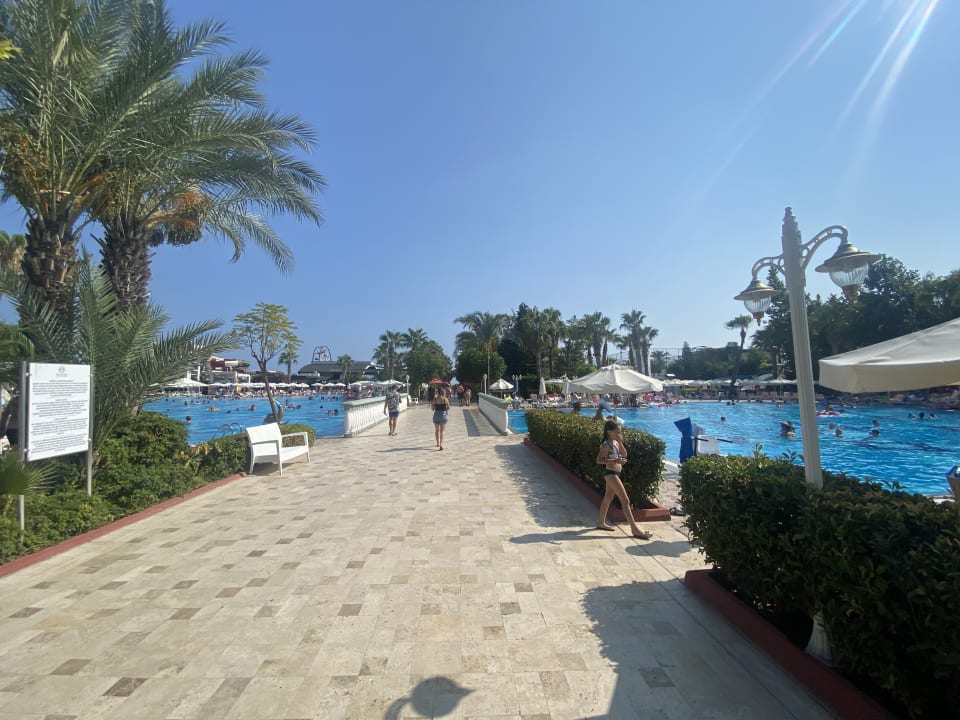 Pool Hotel Delphin Imperial