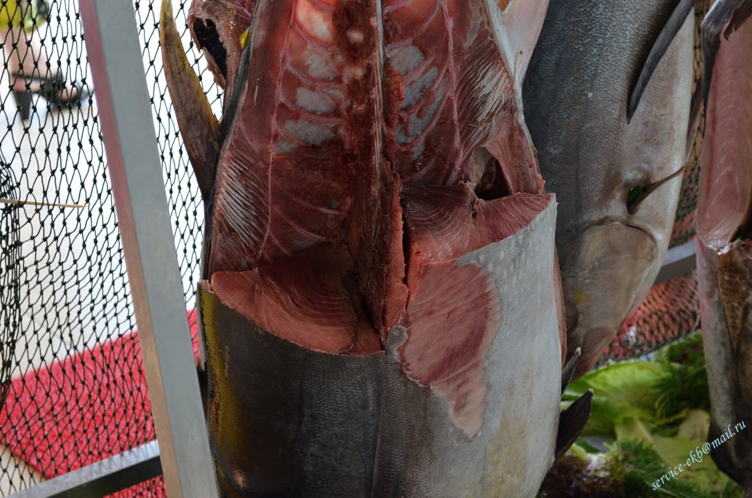 Delphin Imperial Hotel Delphin Imperial