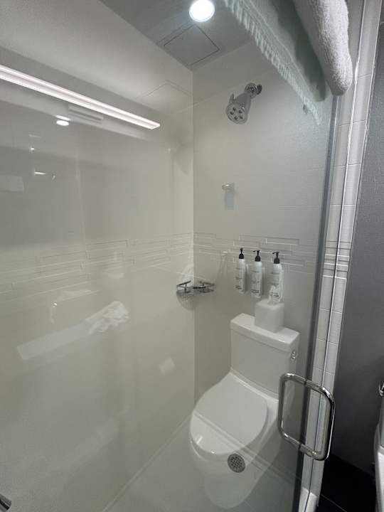 Zimmer SpringHill Suites by Marriott New York Queens