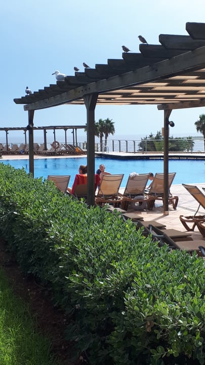 Pool TUI KIDS CLUB Punta Prima